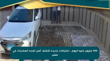 350 مليون جنيه اليوم.. اعترافات جديدة تكشف ثمن تجارة المخدرات في مصر